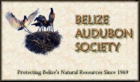 Belize Audubon Society