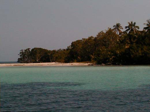 Snake Caye