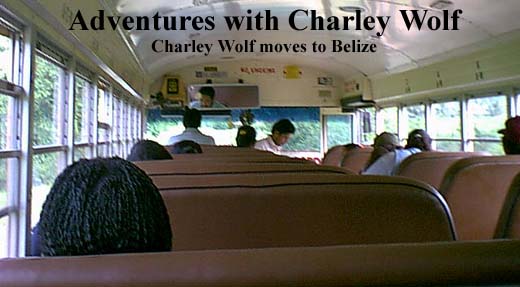 Bus travel in Belize