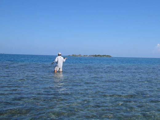 Fly fishing at Morris Caye