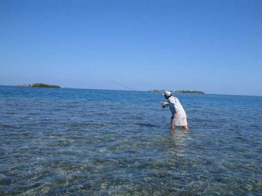 Fly fishing at Morris Caye