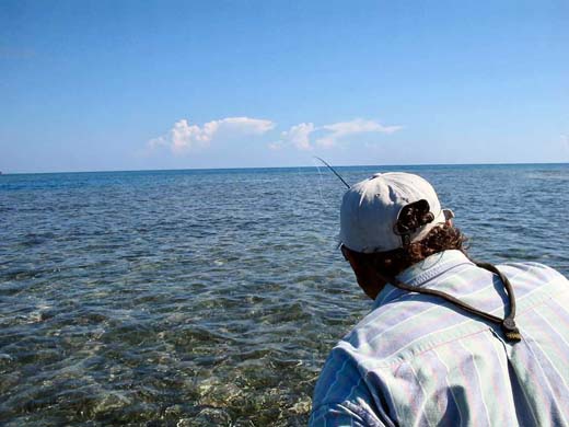 Fly fishing at Morris Caye