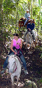 Horseback riding in Belize