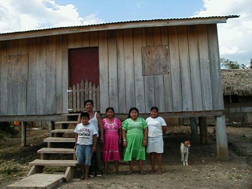 Maya family