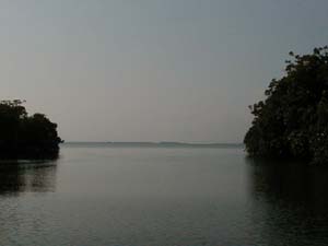 Port of Honduras Marine Reserve