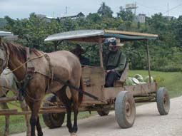 Mennonite Farmers