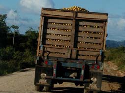 Toledo, Belize