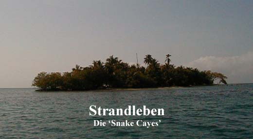 Snake Caye