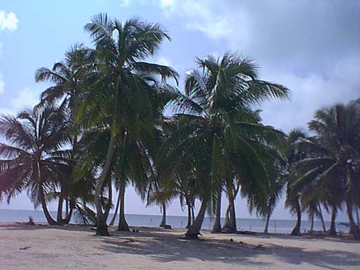 Beach at north Ambergris Caye