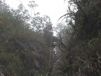 Near the summit of Victoria Peak