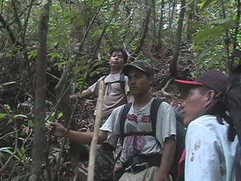 on the trail to Victoria Peak