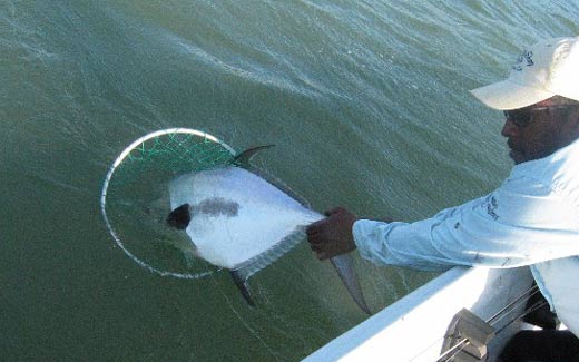 Wilfred releasing a fish