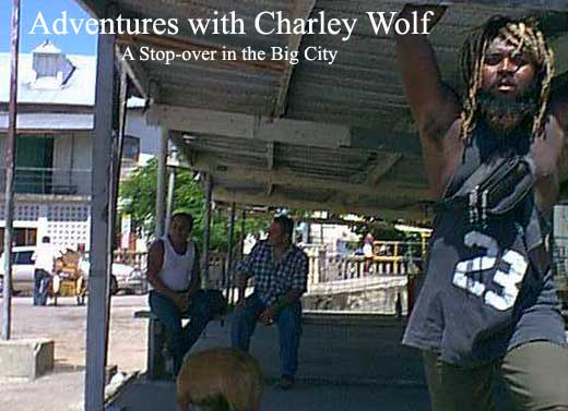 Adventures with Charley Wolf