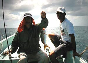 A well sized yellow tail caught at a drop off in the Port of Honduras Marine Reserve in southern Belize.