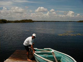 Punta Negra Lagoon, a fresh water lagoon and great Tarpon fishing place is located south of Monkey River Village, east of Punta Negra.
