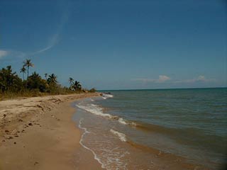 The beach south of Punta Negra in the Toledo District of Belize