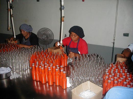 Workers at Marie Sharp's Fine Foods factory filling bottles with the renown habanero sauce.