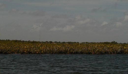 San Ignacio, Cayo, Belize