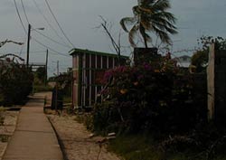 The Placencia sidewalk, still the smallest main street in the world.