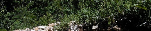 A Mayan mound at Pusilha that had been looted.