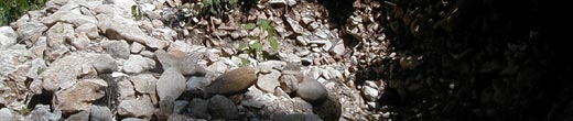 A Mayan mound at Pusilha that had been looted.