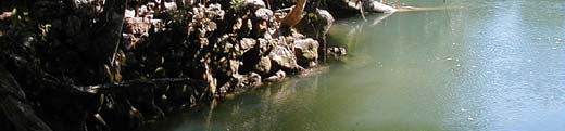 One of the estimated hundred or more Mayan mounds at Pusilha located along the shores of the upper Moho River in the Toledo District of Southern Belize. 