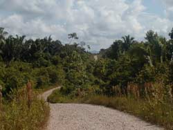 The road winds it's way towards Crique Sarco.