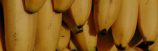 Secrets of the Belizean Kitchen - Baked Bananas