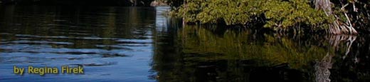 The New River in Northern Belize