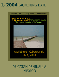YUCATANmagazine.com