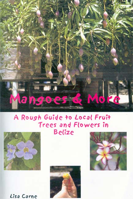 Mangoes & More