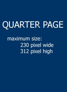 quarter page ad size